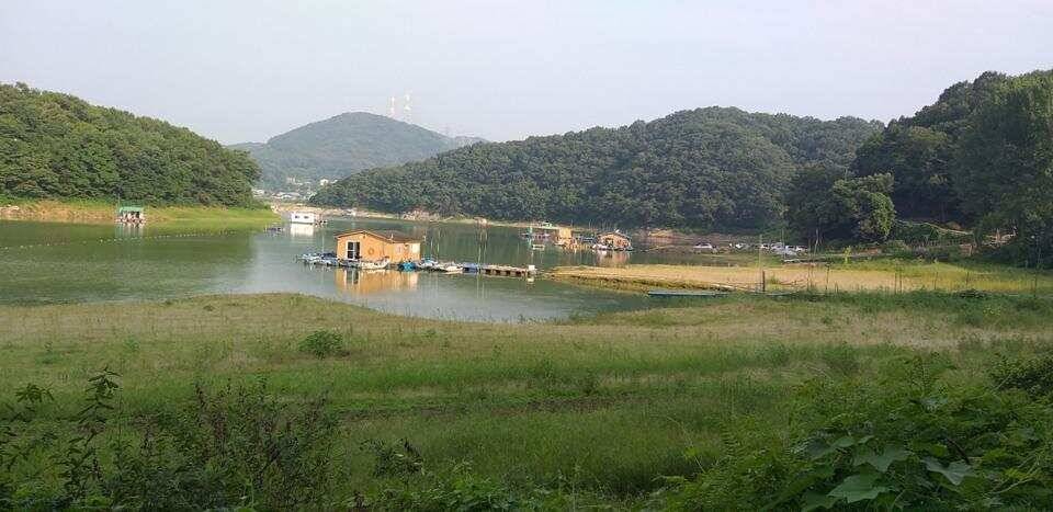 고삼지 주말 조황입니다 (조황조행기 - 특파원조황)
