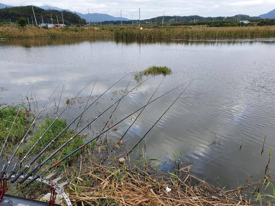 10월 3째주 조황입니다 (조황조행기 - 특파원조황)