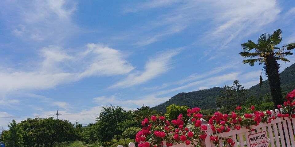 평택호 대물붕어 (조황조행기 - 특파원조황)
