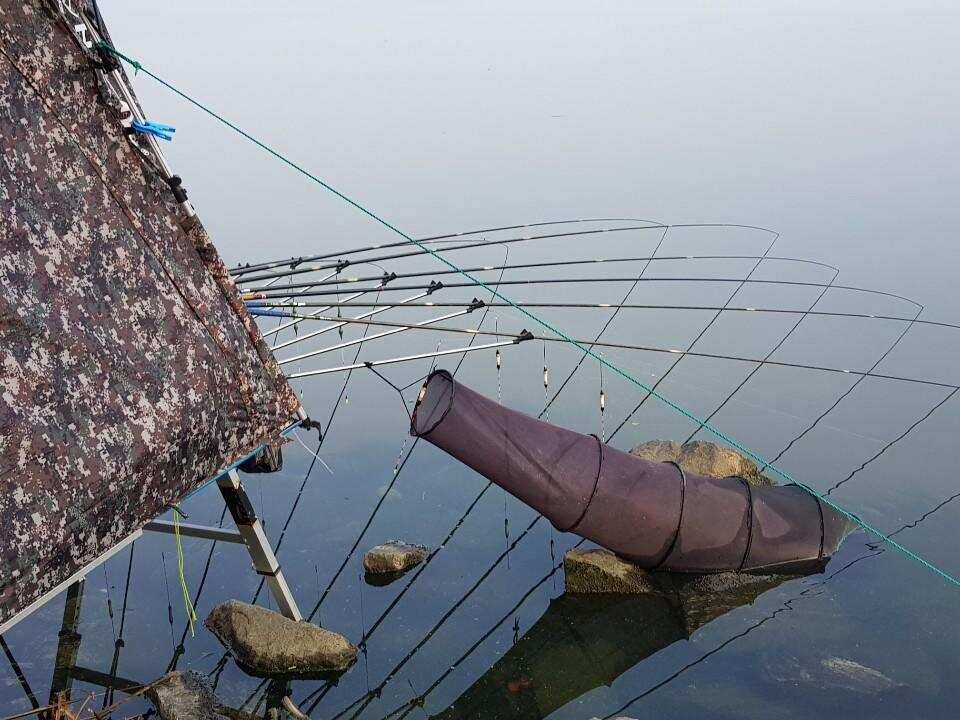 평택호 대물붕어 (조황조행기 - 특파원조황)