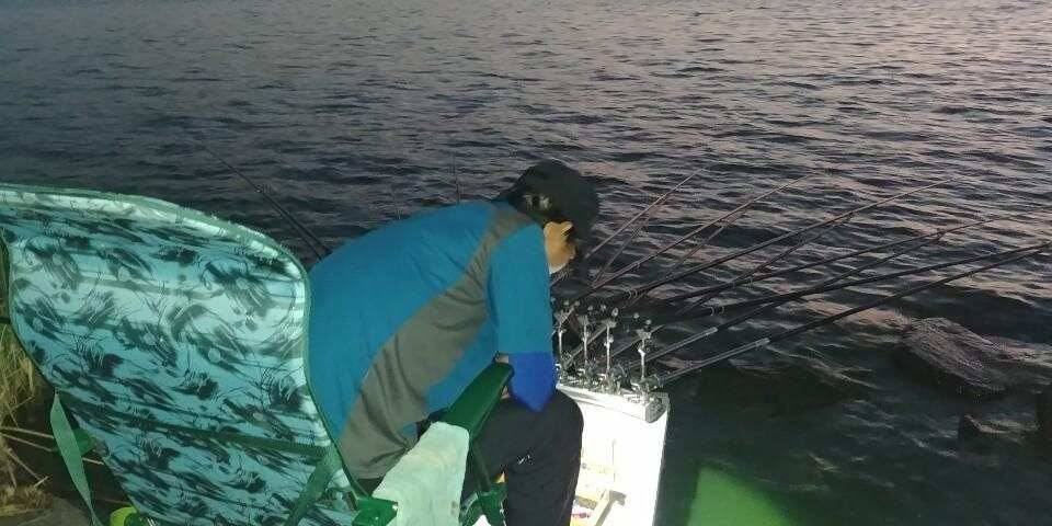 남양호평택호 가을붕어 (조황조행기 - 특파원조황)