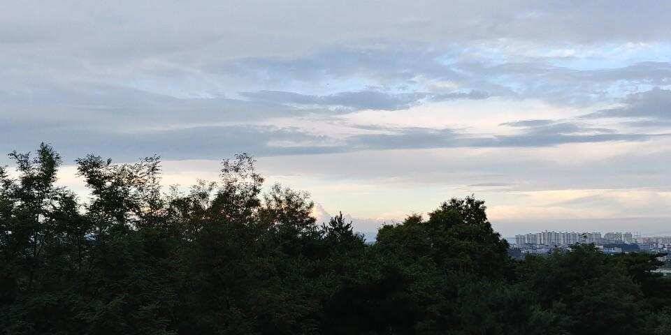 평택호 대물붕어 (조황조행기 - 특파원조황)