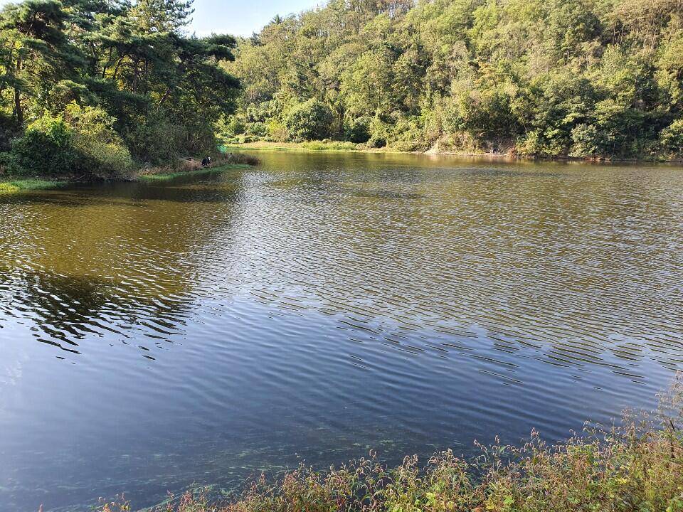 10월 3째주 조황입니다 (조황조행기 - 특파원조황)