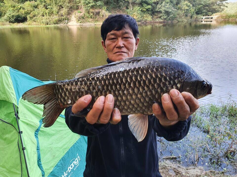 10월 3째주 조황입니다 (조황조행기 - 특파원조황)