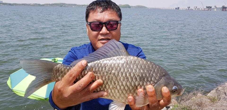 평택호 대물 대물 대물 (조황조행기 - 특파원조황)