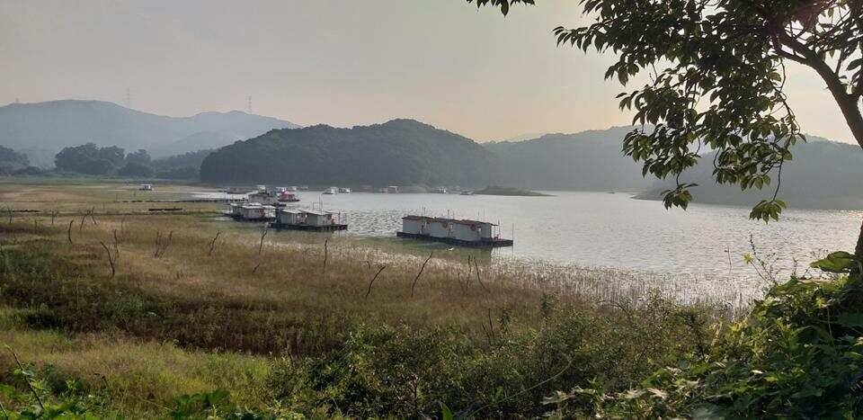 고삼지 주말 조황입니다 (조황조행기 - 특파원조황)