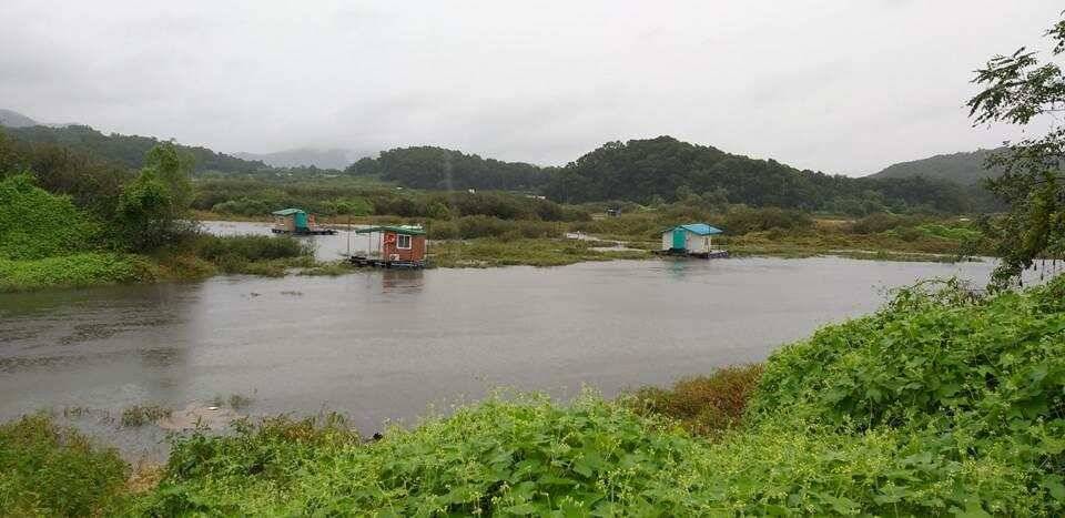 고삼지 생미끼에 올라온 대물들 (조황조행기 - 특파원조황)