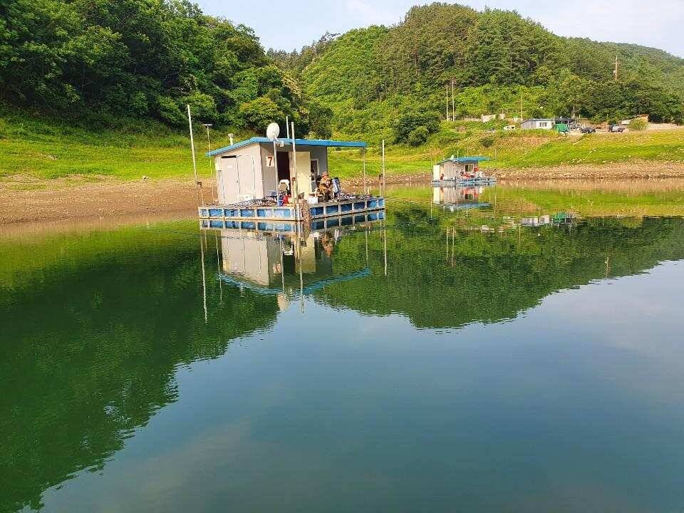 솔 42 43cm 대물붕어 목벌에도 4짜 꽃바위 키로급장어 허리급 붕어조황 (조황조행기 - 특파원조황)