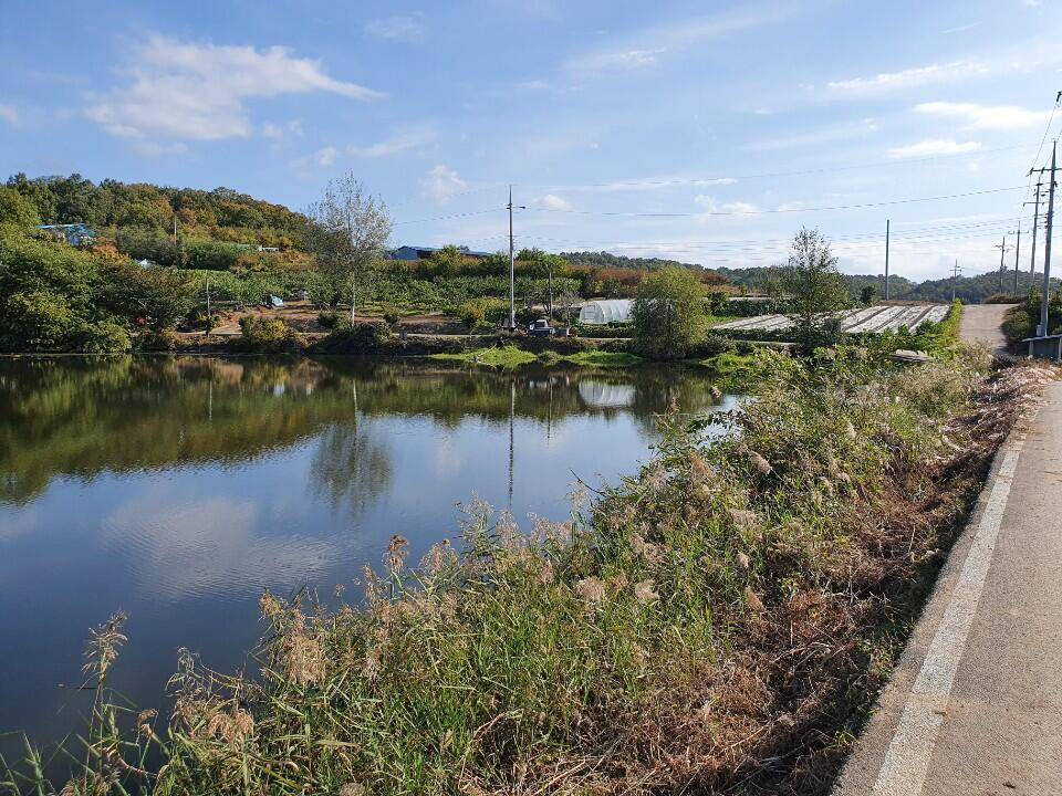 10월 3째주 조황입니다 (조황조행기 - 특파원조황)