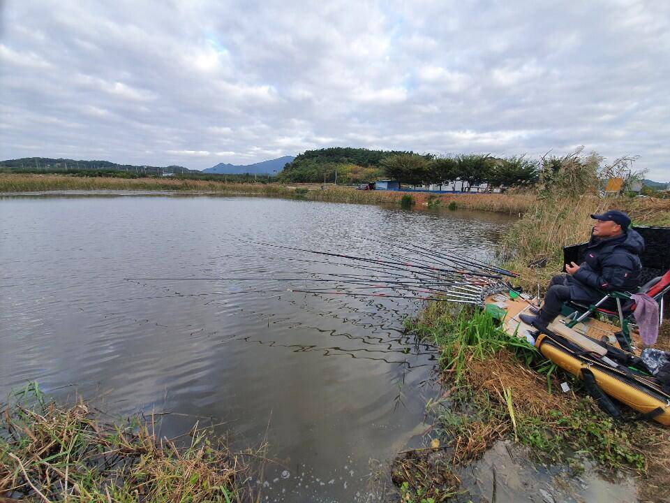 10월 3째주 조황입니다 (조황조행기 - 특파원조황)