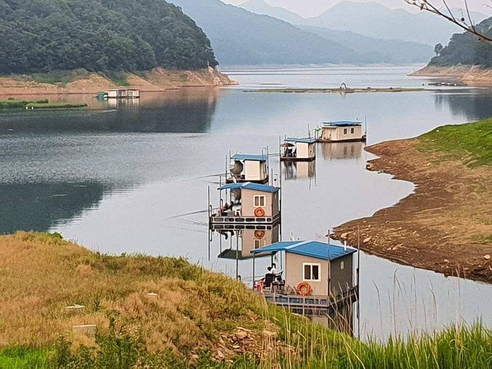 솔 42 43cm 대물붕어 목벌에도 4짜 꽃바위 키로급장어 허리급 붕어조황 (조황조행기 - 특파원조황)