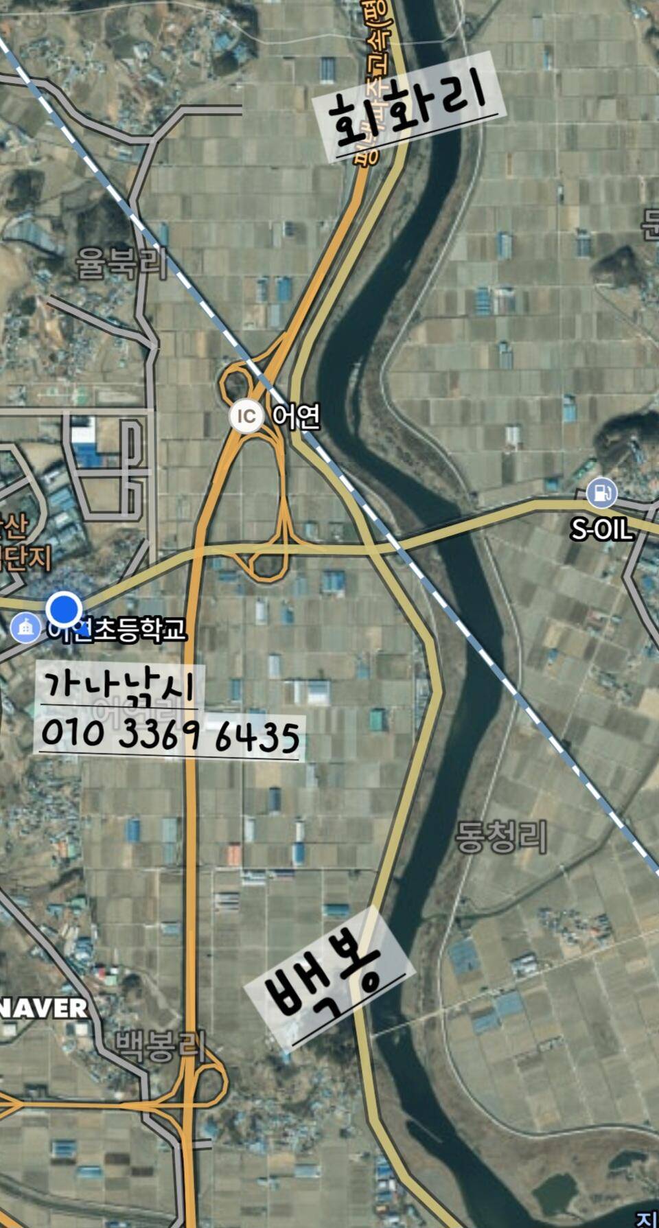 평택호 진위천 남양호 조황 소식 (조황조행기 - 특파원조황)