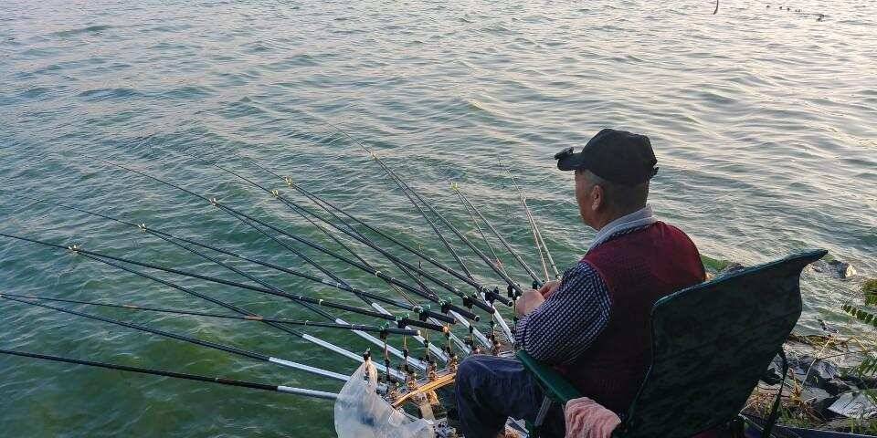 남양호평택호 가을붕어 (조황조행기 - 특파원조황)
