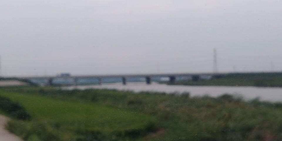 남양호평택호 조황 (조황조행기 - 특파원조황)