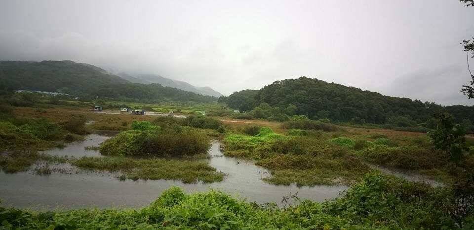고삼지 생미끼에 올라온 대물들 (조황조행기 - 특파원조황)