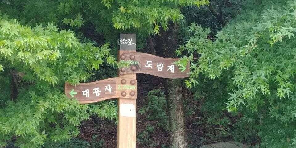 남양호평택호 조황 (조황조행기 - 특파원조황)