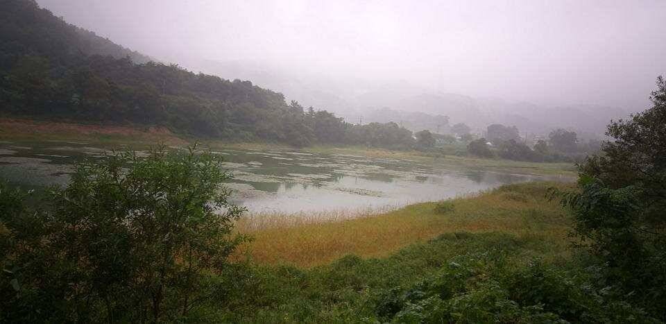 덕산지 좋은 조황의 모습 (조황조행기 - 특파원조황)
