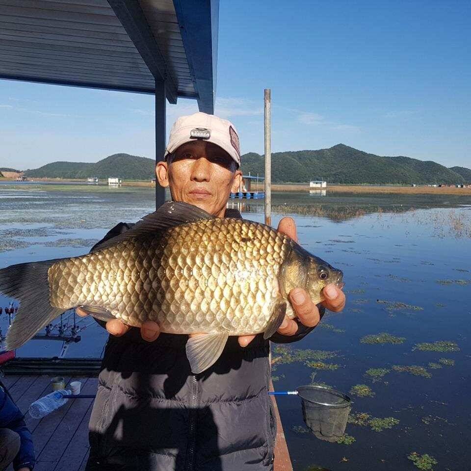 송전지 오산집 호조황 모습 (조황조행기 - 특파원조황)