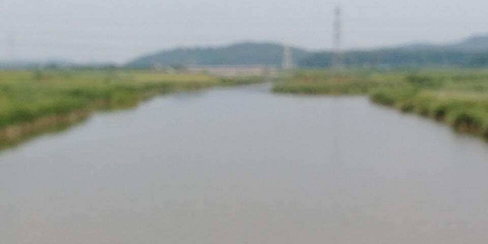 남양호평택호 가을붕어 (조황조행기 - 특파원조황)