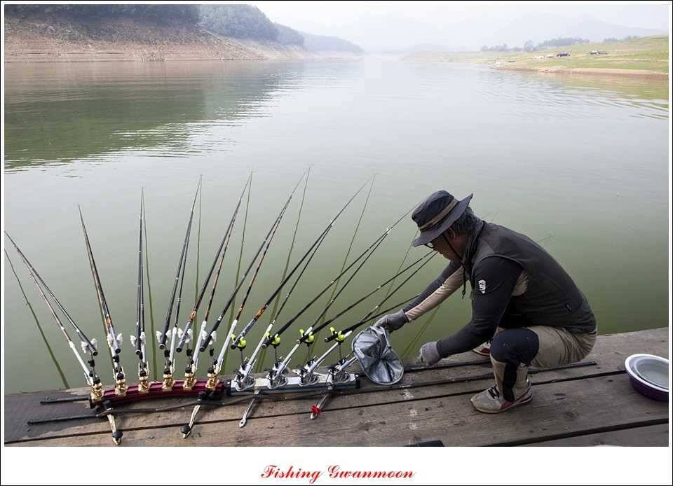 대류 한버들 45 cm44 cm36 cm화곡지 월척들 (조황조행기 - 특파원조황)