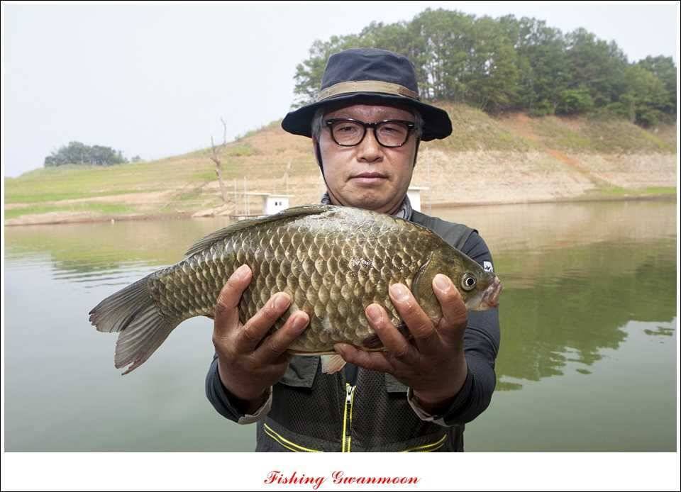 대류 한버들 45 cm44 cm36 cm화곡지 월척들 (조황조행기 - 특파원조황)