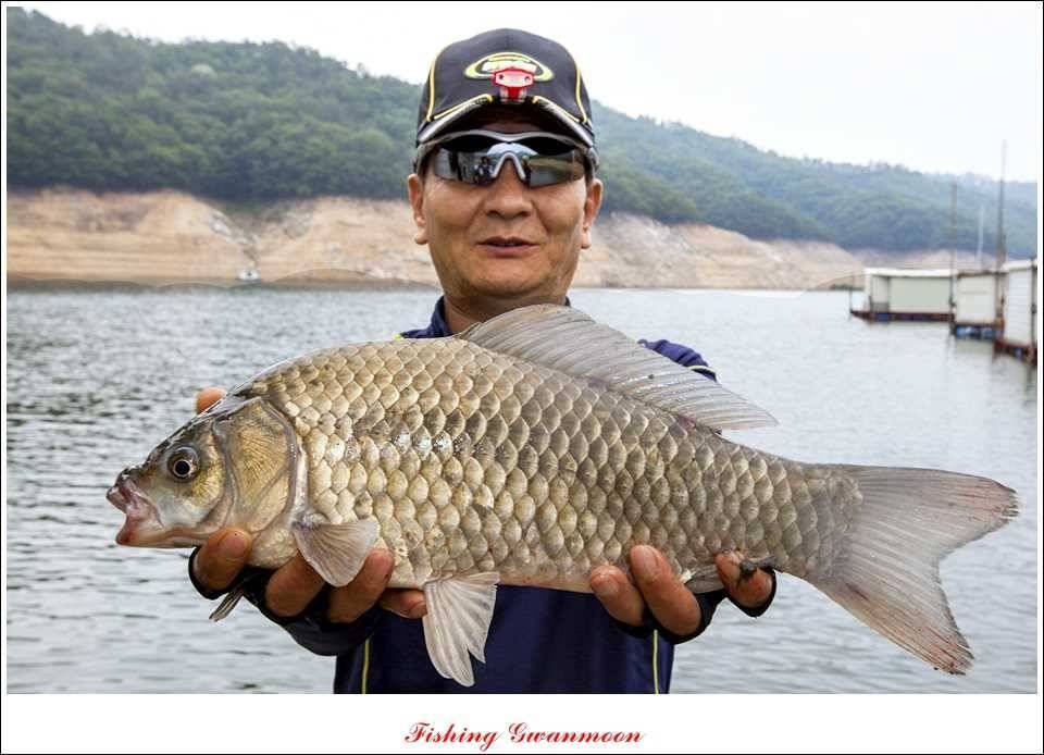 솔 낚시터 44 cm 대물 (조황조행기 - 특파원조황)