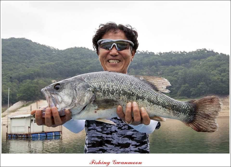솔 낚시터 44 cm 대물 (조황조행기 - 특파원조황)