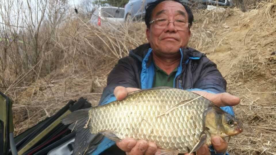 고삼지노지에서 대물들이 쓱 (조황조행기 - 특파원조황)