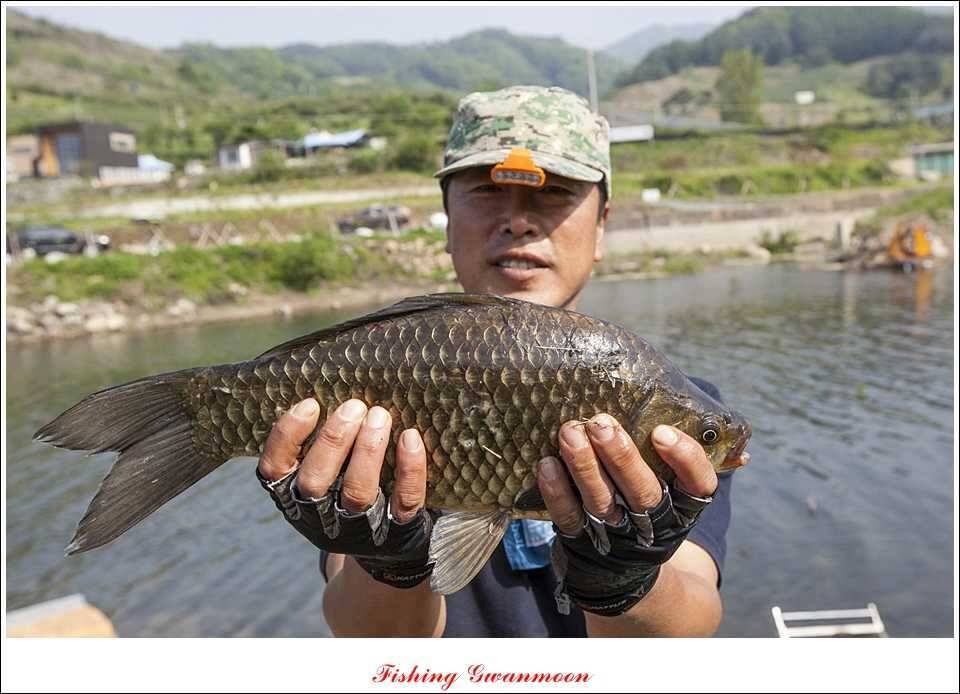 병호 37 cm추평지 사짜 대물들 (조황조행기 - 특파원조황)