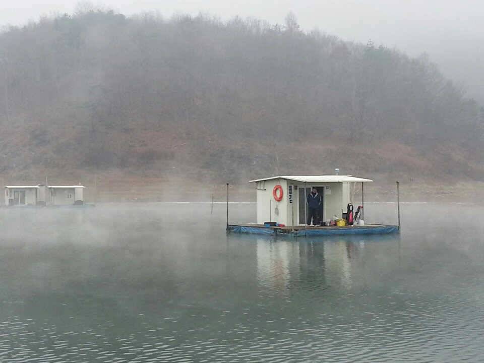 돌감 좌대 월척 및 마릿수 조황 (조황조행기 - 특파원조황)