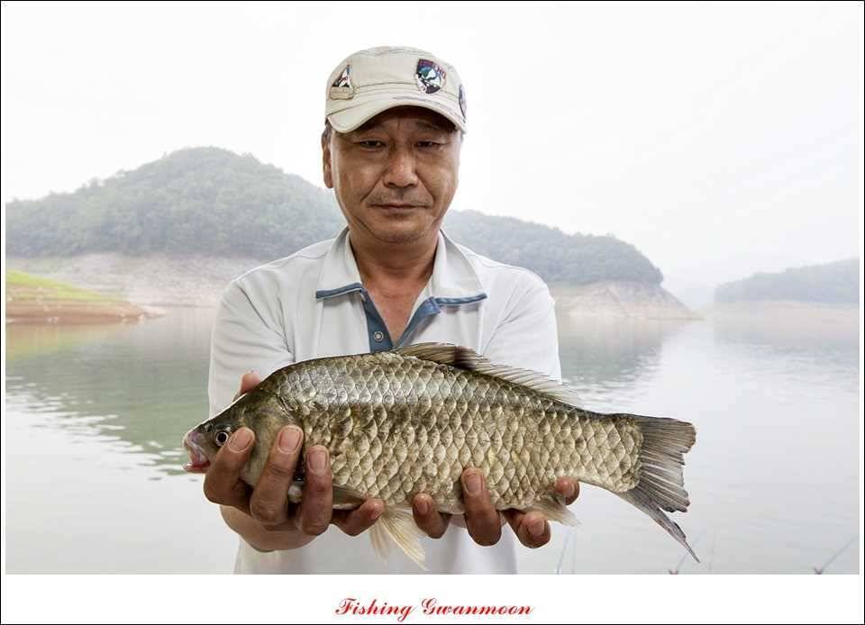대류 한버들 415 cm 와 사짜급 대물 (조황조행기 - 특파원조황)