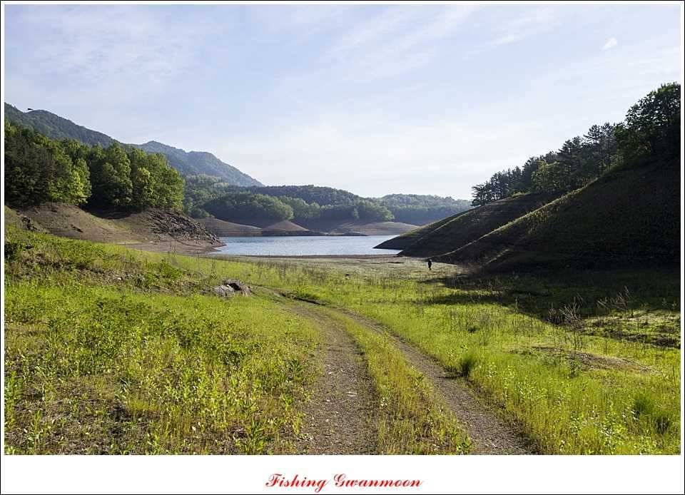 충주호 노지 435 cm한버들 월척병호 월척화곡지 월척들 (조황조행기 - 특파원조황)
