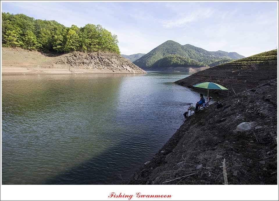 충주호 노지 435 cm한버들 월척병호 월척화곡지 월척들 (조황조행기 - 특파원조황)