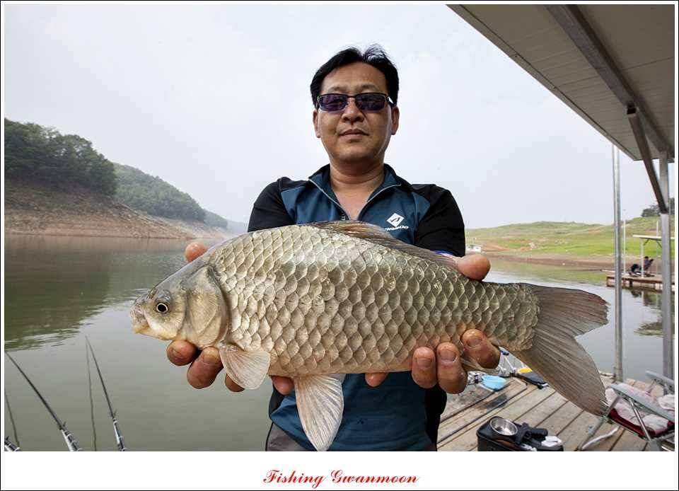 대류 한버들 415 cm 와 사짜급 대물 (조황조행기 - 특파원조황)