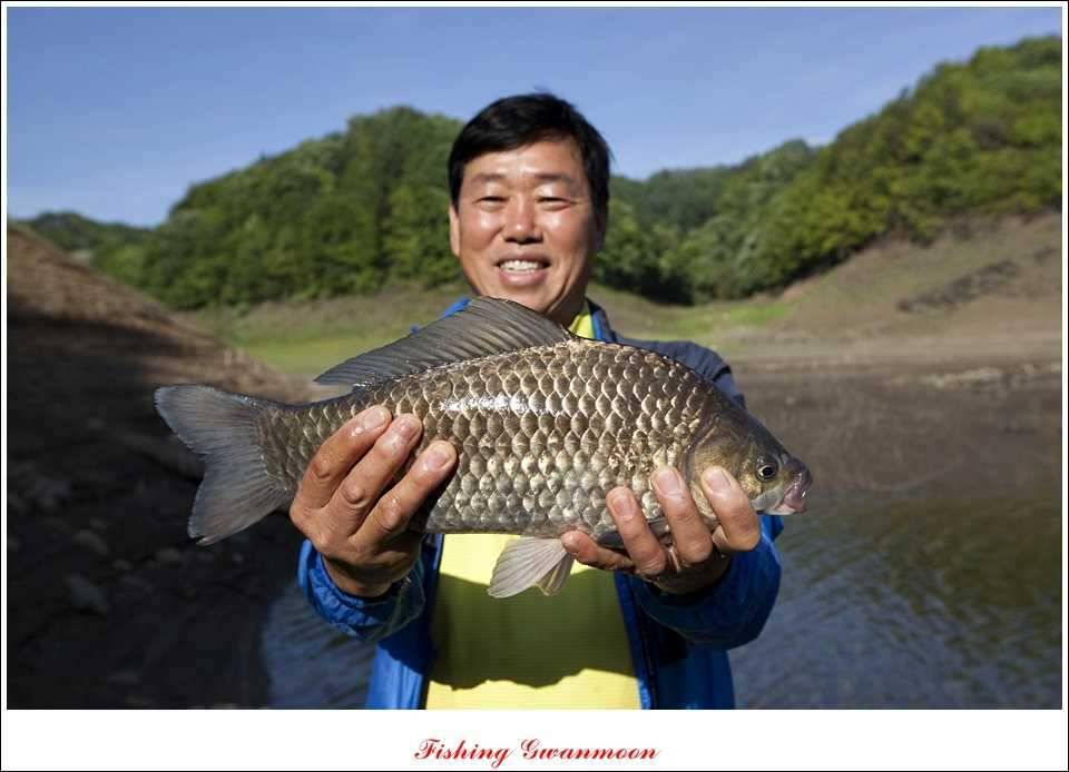 충주호 노지 435 cm한버들 월척병호 월척화곡지 월척들 (조황조행기 - 특파원조황)