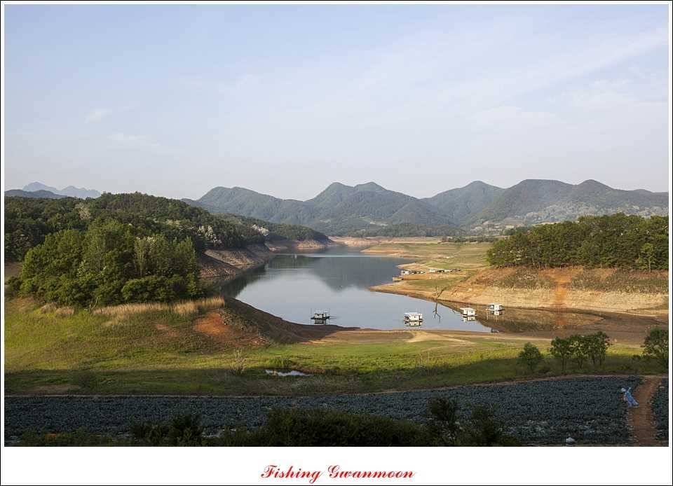 충주호 노지 435 cm한버들 월척병호 월척화곡지 월척들 (조황조행기 - 특파원조황)