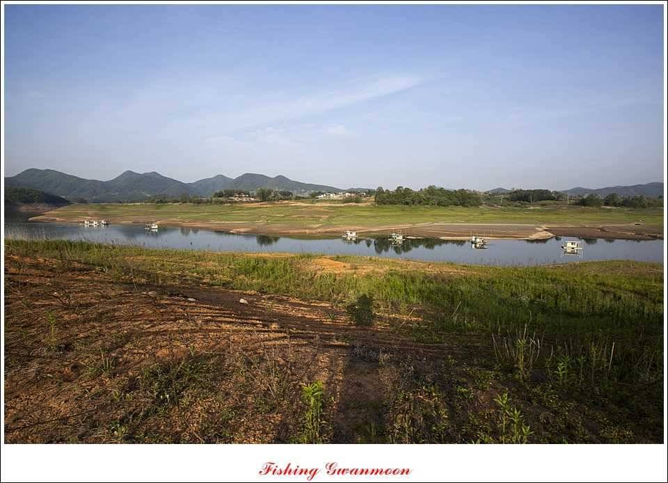 충주호 노지 435 cm한버들 월척병호 월척화곡지 월척들 (조황조행기 - 특파원조황)