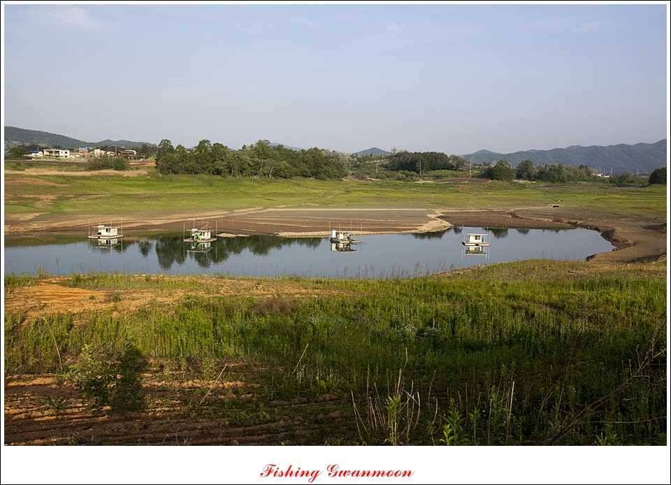 충주호 노지 435 cm한버들 월척병호 월척화곡지 월척들 (조황조행기 - 특파원조황)