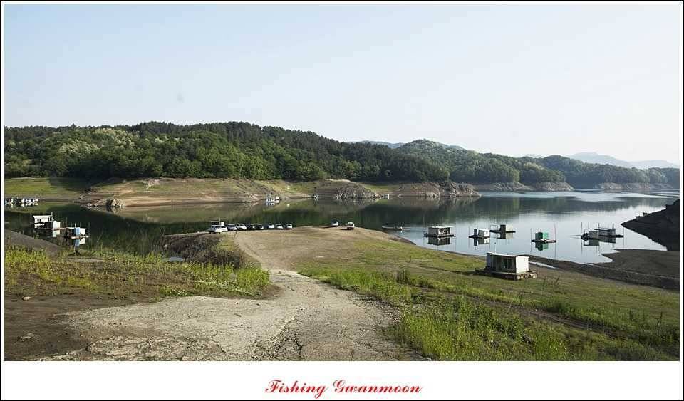 충주호 노지 435 cm한버들 월척병호 월척화곡지 월척들 (조황조행기 - 특파원조황)