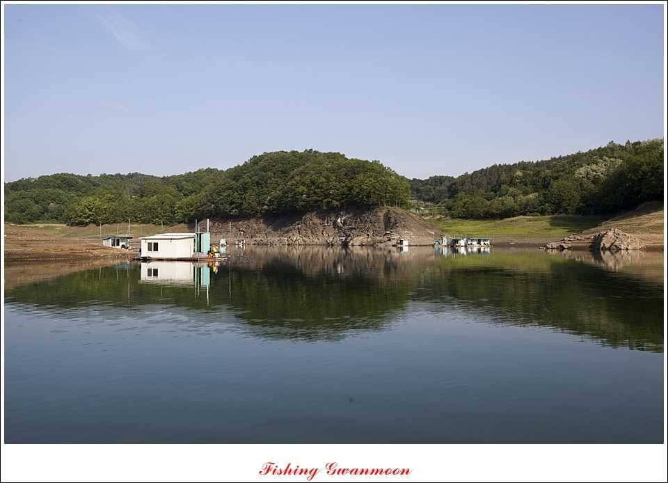 충주호 노지 435 cm한버들 월척병호 월척화곡지 월척들 (조황조행기 - 특파원조황)