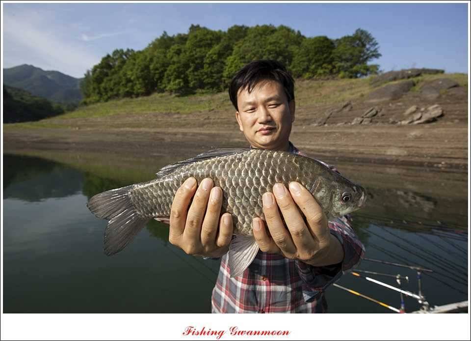 충주호 노지 435 cm한버들 월척병호 월척화곡지 월척들 (조황조행기 - 특파원조황)