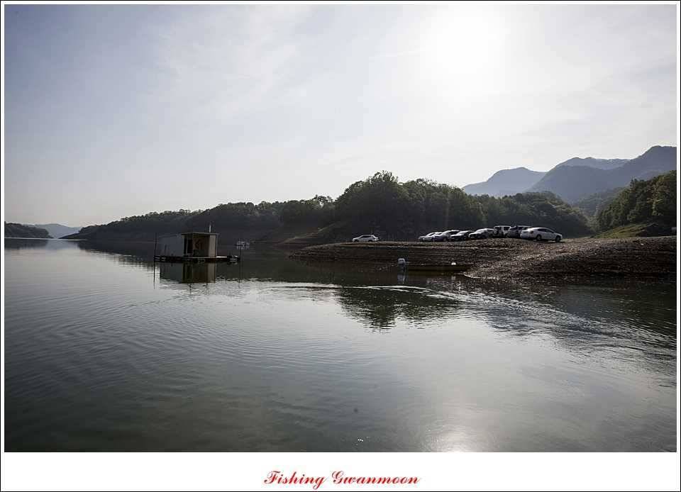 충주호 노지 435 cm한버들 월척병호 월척화곡지 월척들 (조황조행기 - 특파원조황)