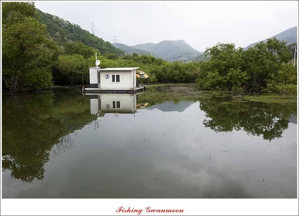 충주호 노지 435 cm한버들 월척병호 월척화곡지 월척들 (조황조행기 - 특파원조황)