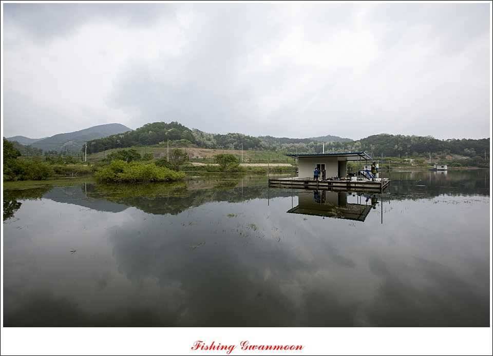 충주호 노지 435 cm한버들 월척병호 월척화곡지 월척들 (조황조행기 - 특파원조황)