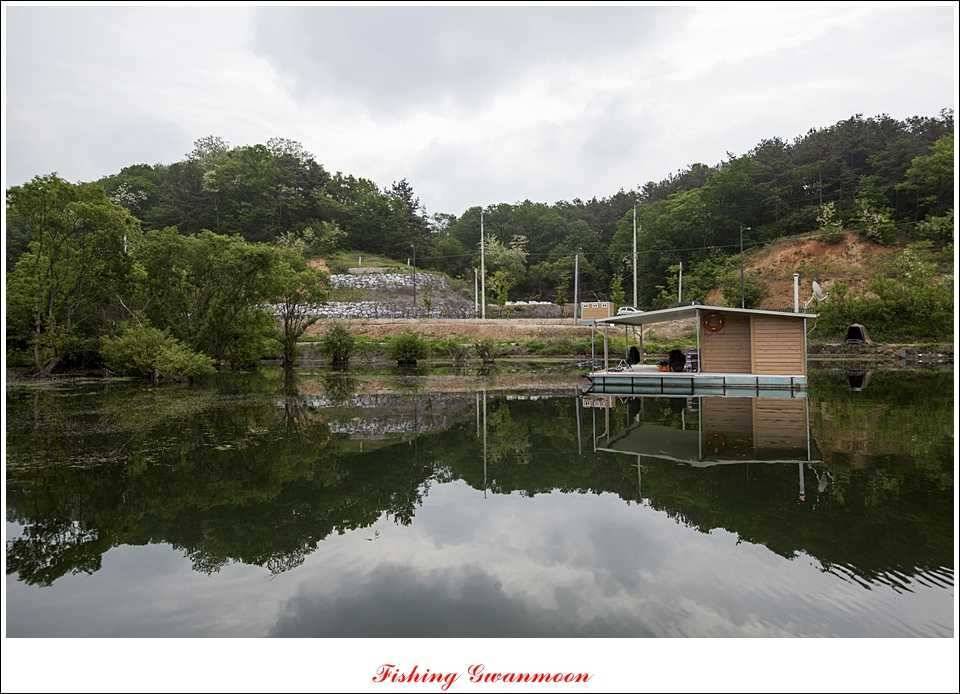 충주호 노지 435 cm한버들 월척병호 월척화곡지 월척들 (조황조행기 - 특파원조황)