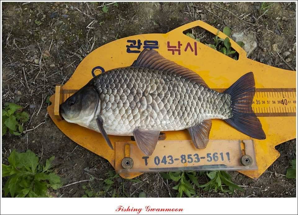 달천강 사짜추평지 사짜칠성지 사짜 (조황조행기 - 특파원조황)