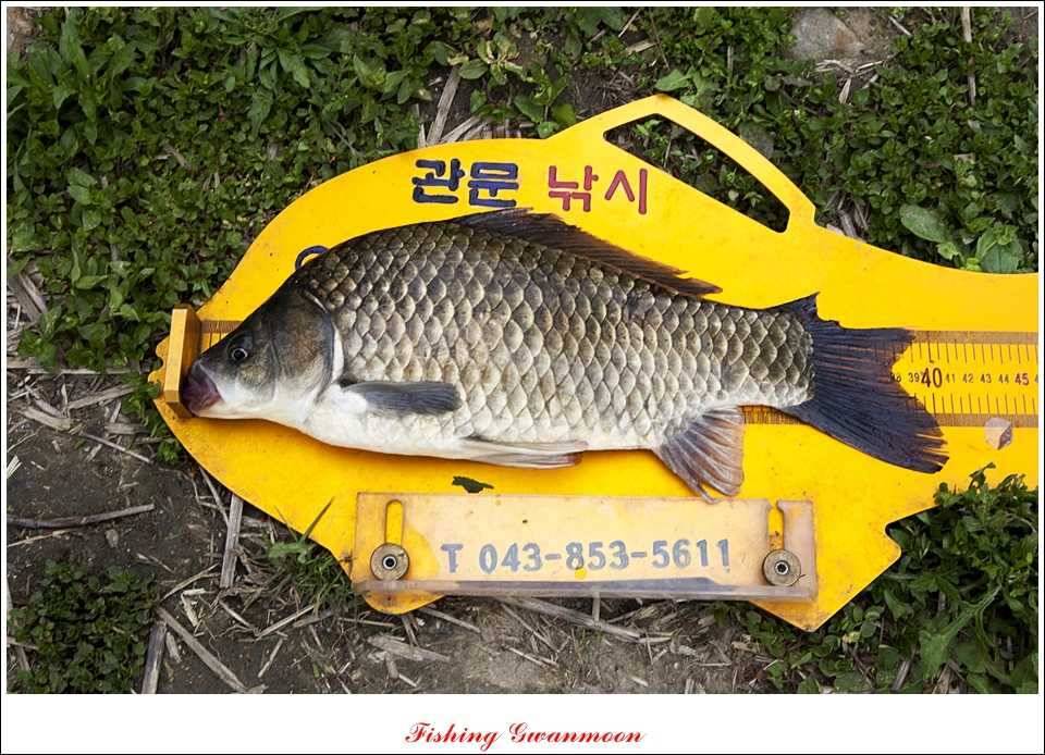 달천강 사짜추평지 사짜칠성지 사짜 (조황조행기 - 특파원조황)