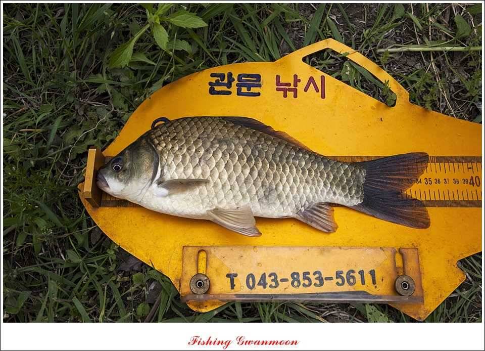 달천강 사짜추평지 사짜칠성지 사짜 (조황조행기 - 특파원조황)