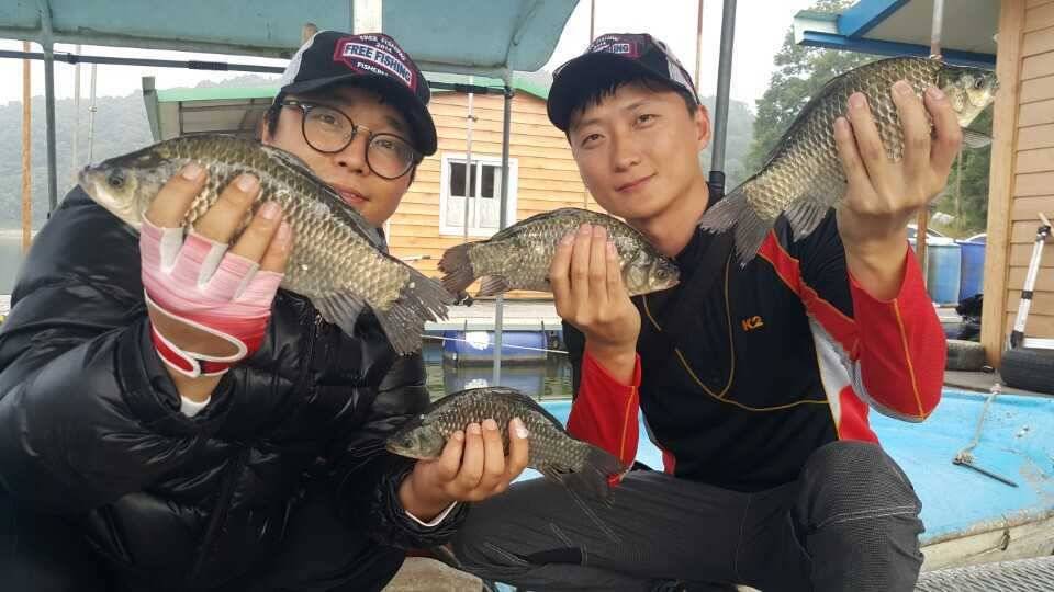 고삼지 그런대로 나옵니다 (조황조행기 - 특파원조황)