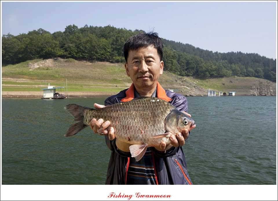 대류 한버들 435 cm39 cm38 cm돌감병호 조황 (조황조행기 - 특파원조황)